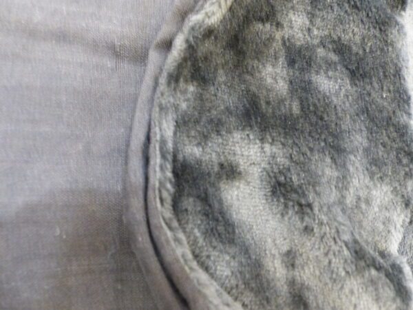 P1290907 SNOOD Birman noir et rose