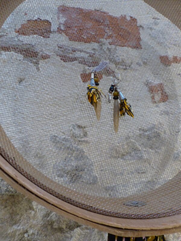 611170568_1561462982369973_2960696106322652110_n Portant à bijoux tamis/bois flotté/ciment/tissu wax multicolore